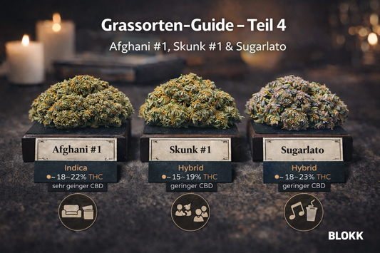 Grassorten-Guide – Teil 4: Afghani #1, Skunk #1 & Sugarlato