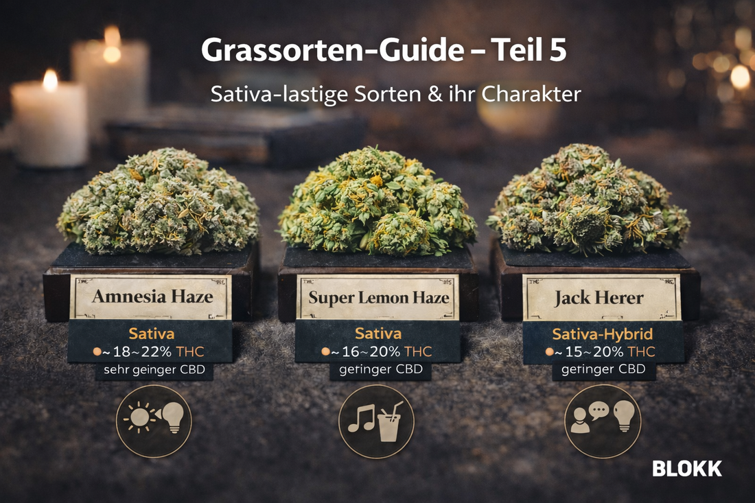 Grassorten-Guide – Teil 5: Sativa-lastige Sorten & ihr Charakter