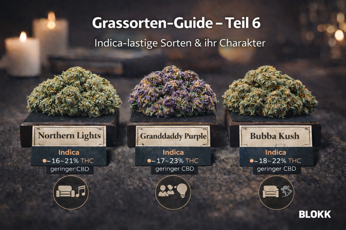 Grassorten-Guide – Teil 6: Indica-lastige Sorten & ihr Charakter