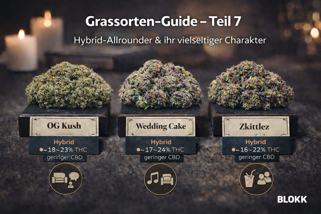 Grassorten-Guide – Teil 7: Hybrid-Allrounder & ihr vielseitiger Charakter