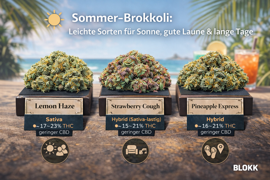 Sommer-Brokkoli: Leichte Sorten für Sonne, gute Laune & lange Tage