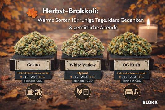 Herbst-Brokkoli: Warme Sorten für ruhige Tage, klare Gedanken & gemütliche Abende